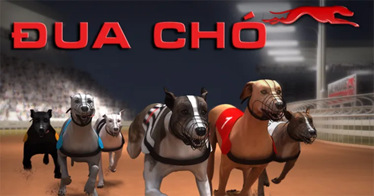 Chinh Phục Đua Chó U888 Bí Kíp Thắng Lớn Siêu Tốc Cho Bạn